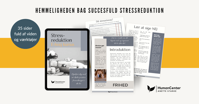 billede af online kurset: Hemmeligheden bag succesfuld stressreduktion